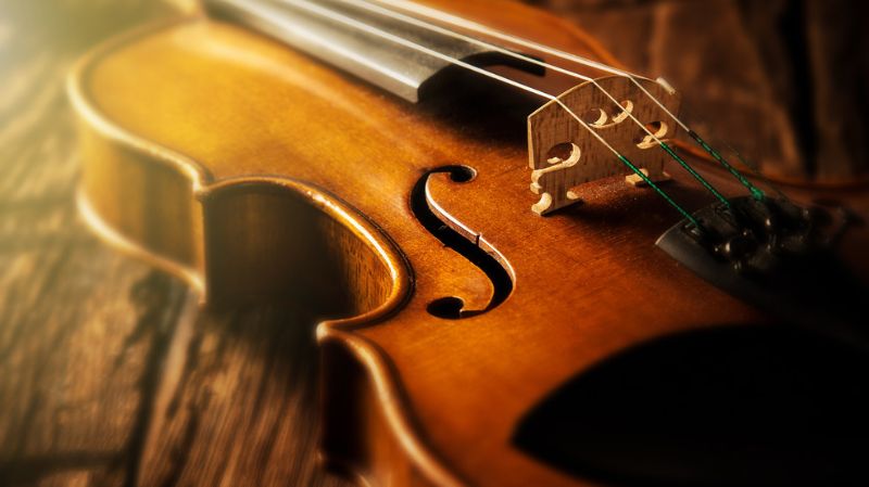 La structure du violon et ses composants